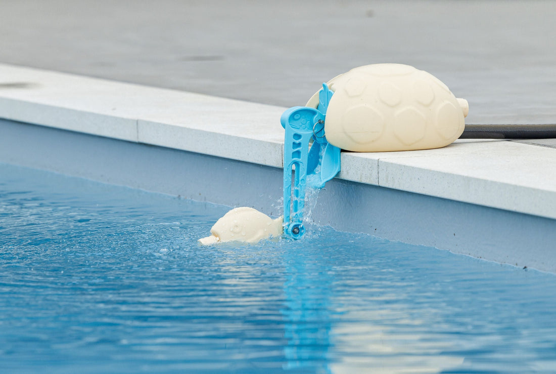 Exciting News: Top-Up Turtle Shines in Gadget Glimpse Feature!