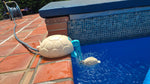 Scotty’s Pool Care
